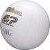 Wilson Castaway