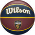 Wilson NBA Team Tribute Cavaliers 1