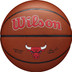 Wilson NBA Team Alliance Chicago Bulls 1