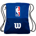Wilson NBA DRV Rugtas 1