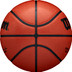Wilson NBA Authentic In/Outdoor 4