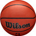 Wilson NBA Authentic In/Outdoor 5