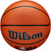 Wilson Jr. NBA Authentic Series Outdoor 6
