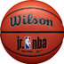 Wilson Jr. NBA Authentic In/Outdoor 1