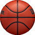 Wilson Jr. NBA Authentic In/Outdoor 5