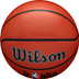 Wilson Jr. NBA Authentic In/Outdoor 6