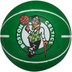 Wilson NBA Team Dribbler Stuiterbal 1