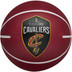 Wilson NBA Team Dribbler Stuiterbal 1
