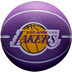 Wilson NBA Team Dribbler Stuiterbal 1