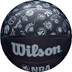 Wilson NBA Team Alliance All Team 2