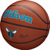 Wilson NBA Team Alliance Hornets 3