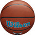Wilson NBA Team Alliance Hornets 5