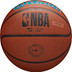 Wilson NBA Team Alliance Hornets 6