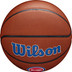 Wilson NBA Team Alliance Detroit Pistons 6