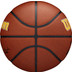 Wilson NBA Team Alliance Indiana Pacers 5