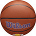 Wilson NBA Team Alliance LA Lakers 5
