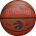 Wilson NBA Team Alliance Toronto Raptors 1
