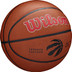 Wilson NBA Team Alliance Toronto Raptors 2