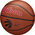 Wilson NBA Team Alliance Toronto Raptors 3