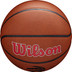 Wilson NBA Team Alliance Toronto Raptors 5