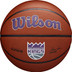 Wilson NBA Team Alliance Kings 1