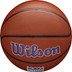 Wilson NBA Team Alliance Kings 6
