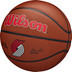 Wilson NBA Team Alliance Trail Blazers 3
