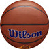 Wilson NBA Team Alliance Phoenix Suns 5