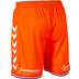 Nederländska Landslagsshorts