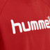 Hummel Go Cotton Logo Sweat Men