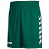 Hummel Core Poly Shorts Heren | GR