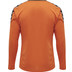 Hummel Authentic Poly Shirt LS Men 2
