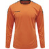 Hummel Authentic Poly Shirt LS Men 3