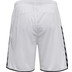 Hummel Authentic Poly Short Men