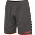 Hummel Authentic Poly Short Men