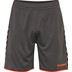Hummel Authentic Poly Short Men