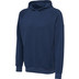 Hummel Active Cotton Hoodie Junior