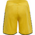 Hummel Authentic Poly Short Men