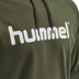 Hummel Go Cotton Logo Hoodie Men