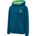 Hummel Action Cotton Hoodie Junior