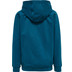 Hummel Action Cotton Hoodie Junior