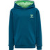 Hummel Action Cotton Hoodie Junior