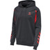 Hummel Action Cotton Hoodie Men
