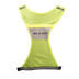 Bee Seen Reflective Vest 1
