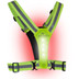 Bee Seen Led Harnas Batterij