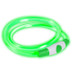 Bee Seen Hundeband USB