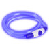 Bee Seen Dog Band USB