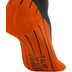 Falke Energizing W3 Men | ZW