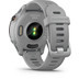Garmin Forerunner 255S