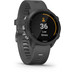 Garmin Forerunner 245